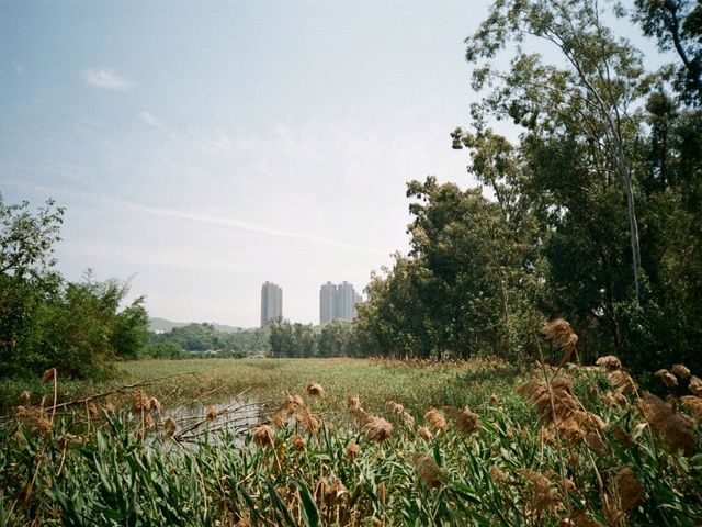 南生圍一日遊