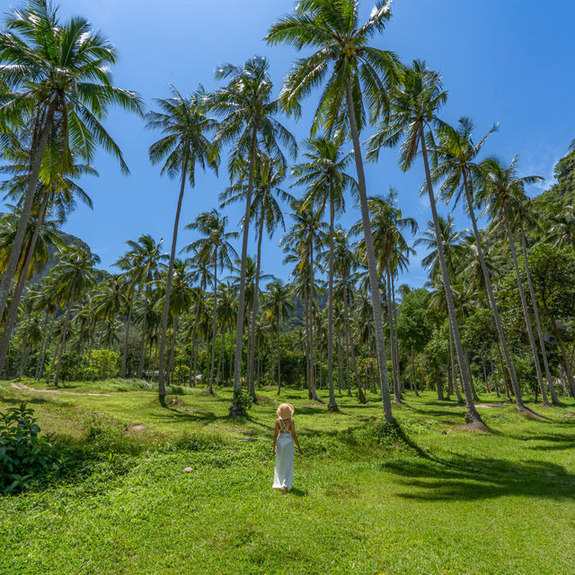นอนชิลฟีลติดเกาะที่อ่าวต้นไทร กระบี่🏝️