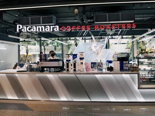 Pacamara coffee @ Silom Edge 