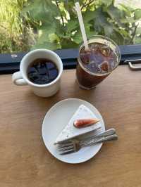 햇살이 아름다운 부산카페
