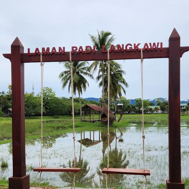 Laman Padi Langkawi