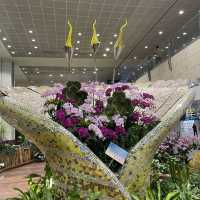 Changi Airport Newly Renovated Terminal 2