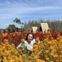 สวนดอกไม้ ไร่คุณอารียา @ กระบี่ 