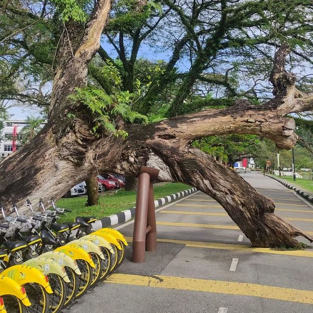 EXPLORING THE OLDEST GARDEN IN MALAYSIA