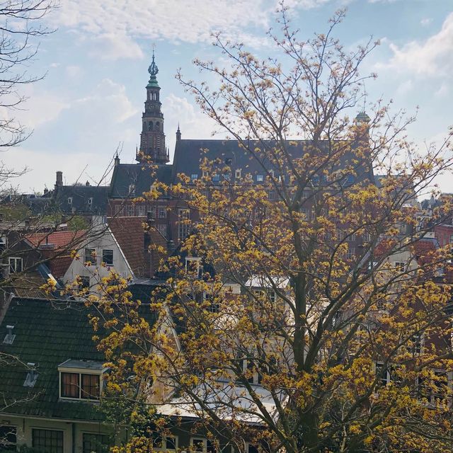 荷蘭🇳🇱萊頓🖼️🏰城堡美景Burcht van Leiden（勒頓城堡）