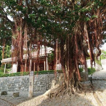 16世紀から残る風情ある石畳道！「金城町石畳道」 | Trip.com 那覇