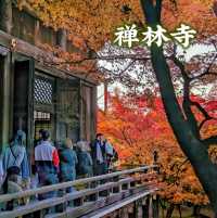 Eikan-dō Temple, fall is here!