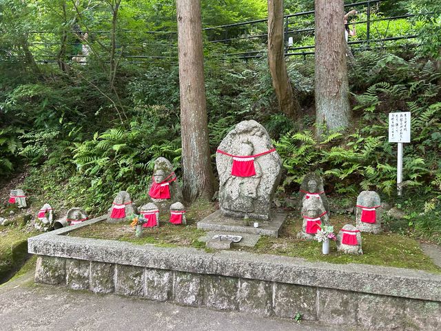 🌳교토가 한 눈에 보이는 신사, 기요미즈테라 ⛩️