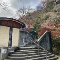 本当は教えたくない穴場の箱根の日帰り温泉！