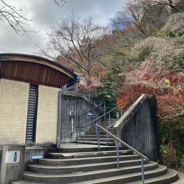 本当は教えたくない穴場の箱根の日帰り温泉！