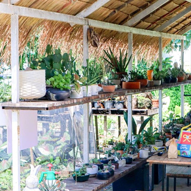 คาเฟ่ใกล้กรุง! มี Mini Zoo ด้านใน กิจกรรมแน่น