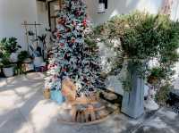 Merry Christmas กันที่ HohiHo ภูเก็ต 