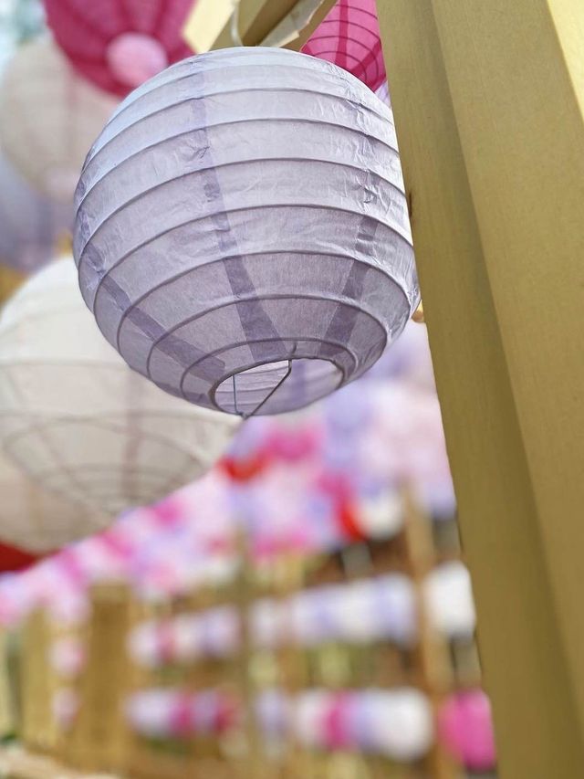 【福岡旅行】四季折々の花手水やお祭りごとを楽しめる素敵な神社