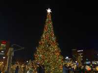 크리스마스 분위기 제대로 느낄 수 있는 곳, 파주 롯데프리미엄아울렛🎄