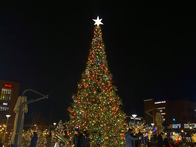 크리스마스 분위기 제대로 느낄 수 있는 곳, 파주 롯데프리미엄아울렛🎄