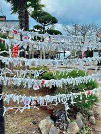 【鳥取　琴浦】辰年の開運神社