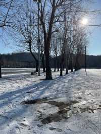 首爾出發首爾大公園一日遊❣️親子活動必到🤓市區親親大自然