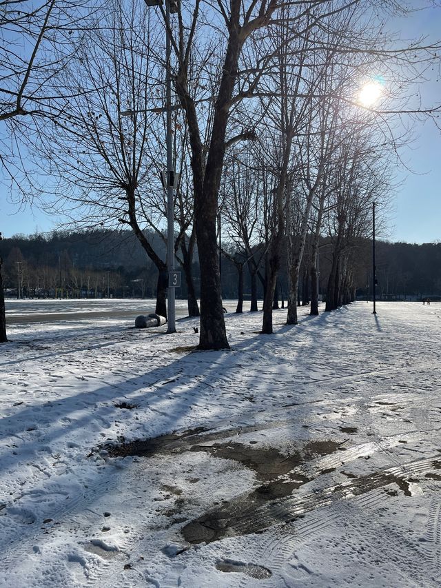 首爾出發首爾大公園一日遊❣️親子活動必到🤓市區親親大自然