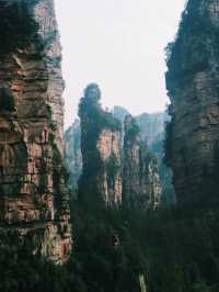 The Avatar Mountains - Zhangjiajie🌲🏔️