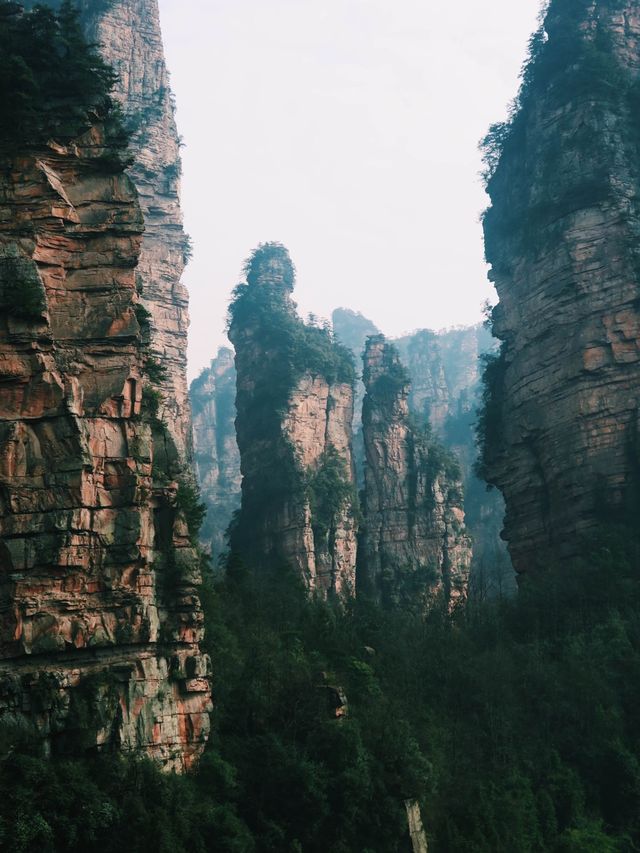 The Avatar Mountains - Zhangjiajie🌲🏔️