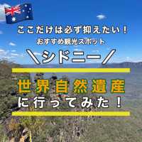 【シドニー観光】必ず抑えたいスポット「ブルーマウンテンズ」🇦🇺