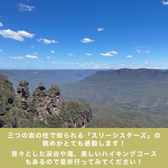 【シドニー観光】必ず抑えたいスポット「ブルーマウンテンズ」🇦🇺 【シドニー観光】必ず抑えたいスポット「ブルーマウンテンズ」🇦🇺