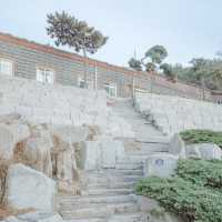 여수 겨울 바다와 동백 지장대사