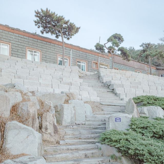 여수 겨울 바다와 동백 지장대사