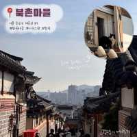 1박 2일.ᐟ 서울찍먹 우정여행🚞