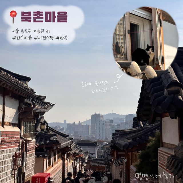 1박 2일.ᐟ 서울찍먹 우정여행🚞
