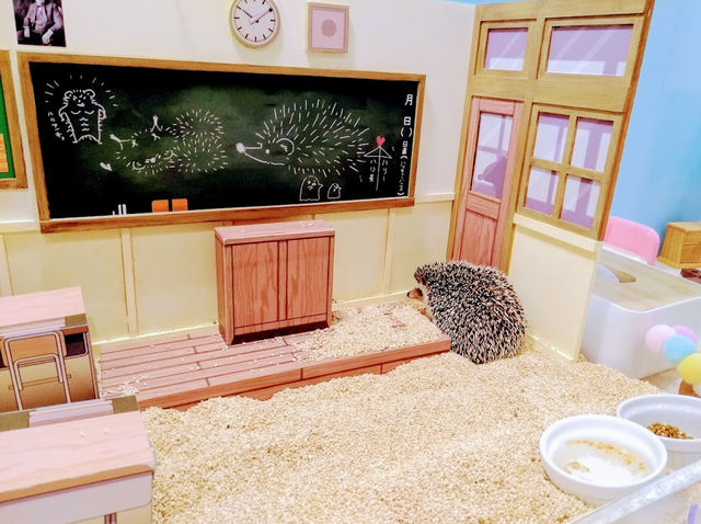 Chiku Chiku Cafe 