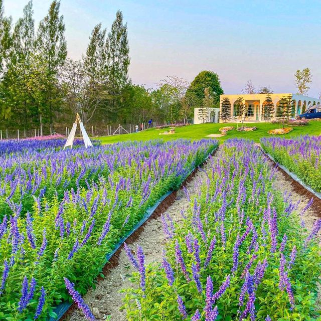 The Peak Flower Land คาเฟ่ใหม่เขาใหญ่