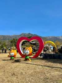 봄에만 열리는 구례 산수유축제 다음주부터 시작💛