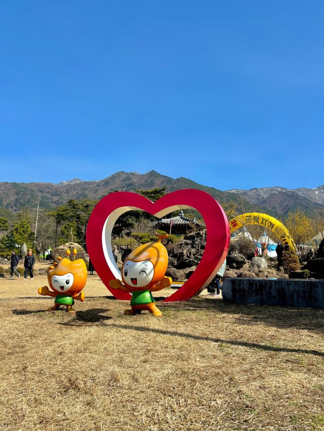봄에만 열리는 구례 산수유축제 다음주부터 시작💛