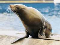 Melbourne Zoo