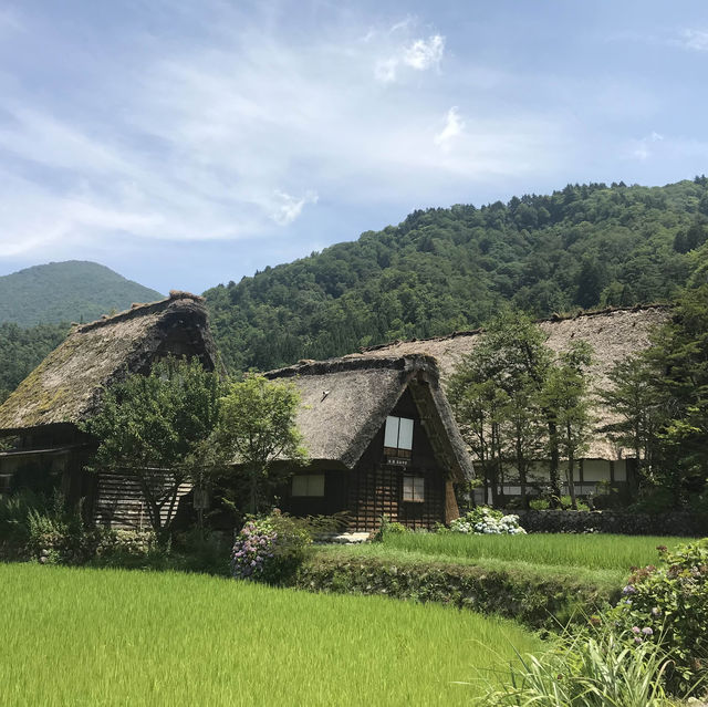 ชิราคาวาโกะ (Shirakawa-go) หมู่บ้านมรดกโลก