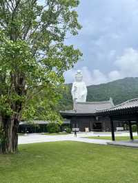 Tsz Shan Monastery วัดเจ้าแม่กวนอิมซีซ่าน 🇭🇰✨