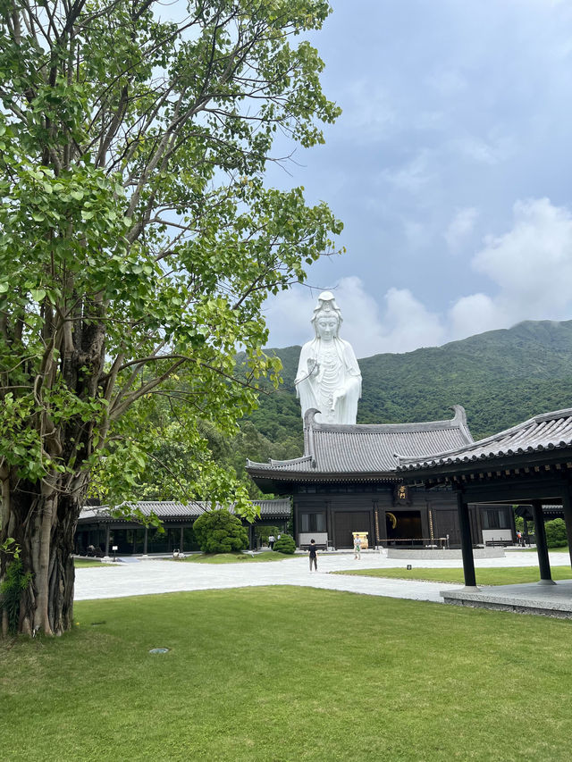 Tsz Shan Monastery วัดเจ้าแม่กวนอิมซีซ่าน 🇭🇰✨