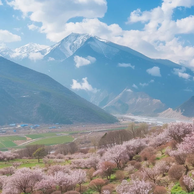 【2024】秩父多摩甲斐國立公園櫻花 🌸 感謝大自然