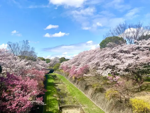 東京國營昭和紀念公園