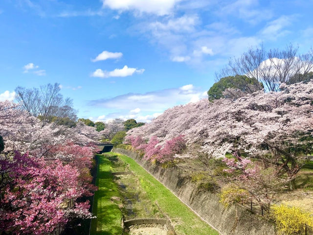東京國營昭和紀念公園