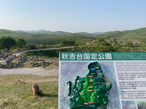 Recommended Spot in Yamaguchi Prefecture: Akiyoshidai Karst