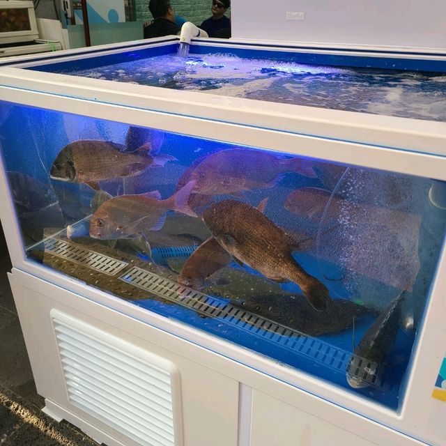 서귀포 서귀동 맛집)소린이네횟집 - 올레시장 가성비 좋은 제주도민 횟집