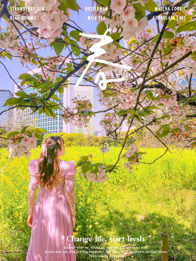 📍浜離宮恩賜庭園 🌸🗼東京・桜と菜の花を楽しむ春散策