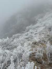 말그대로 겨울왕국❄️ 덕유산 눈꽃여행