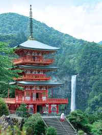 【和歌山】平安時代を感じる！熊野古道