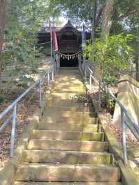 【前玉神社／埼玉県】古墳上に建つ社殿と花手水