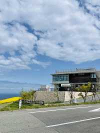 【兵庫県】あわじ花さじきで春のお花畑を愛でよう！