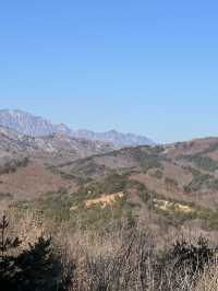 겨울은 역시 강원도죠