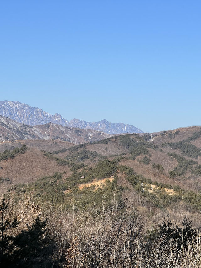 겨울은 역시 강원도죠